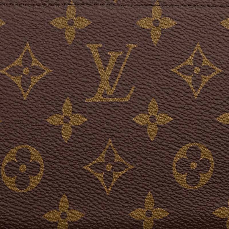 LOUIS VUITTON M60017 ZIPPY WALLET - 图片 4