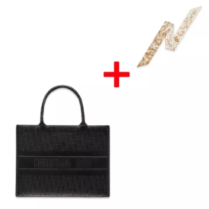 DIOR BOOK TOTE Small Bag Dior Oblique Calfskin